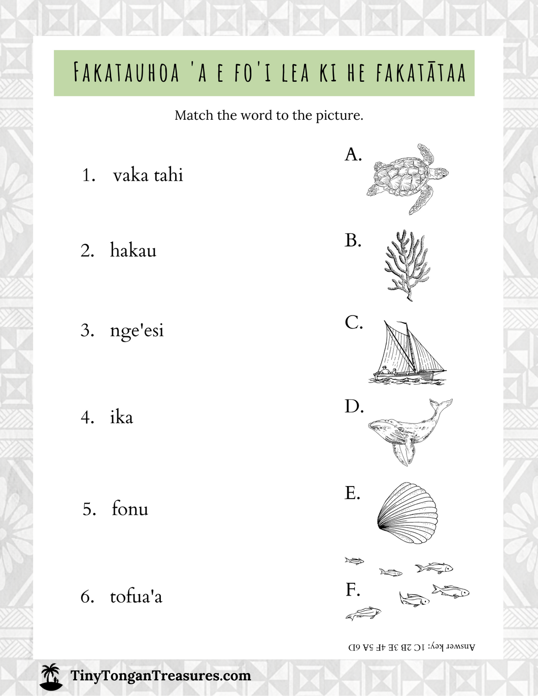 Picture & Word Match - Tongan Sea